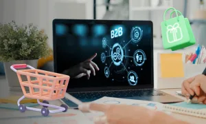 B2B Ecommerce Website Development Services
