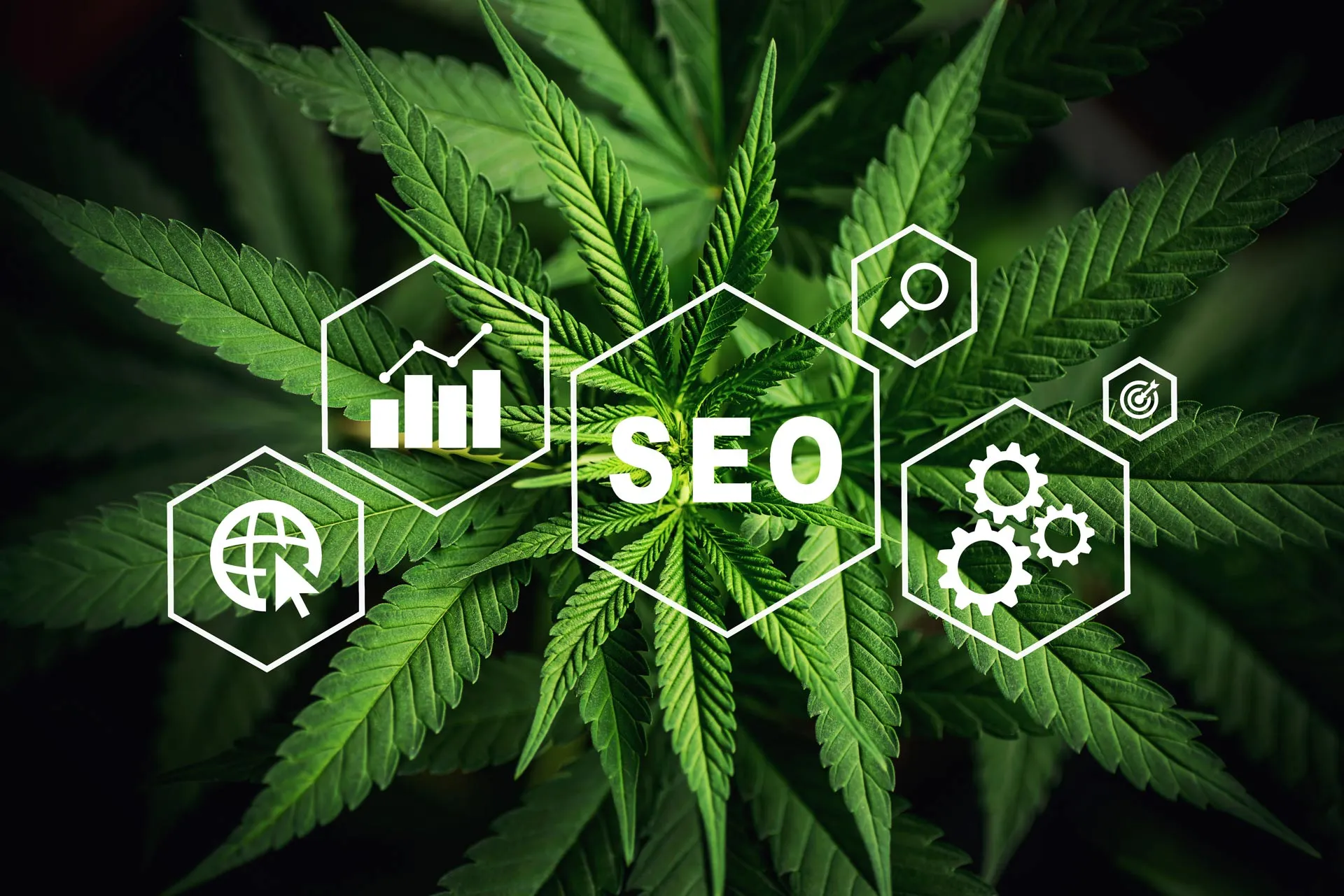 Dispensary SEO Services