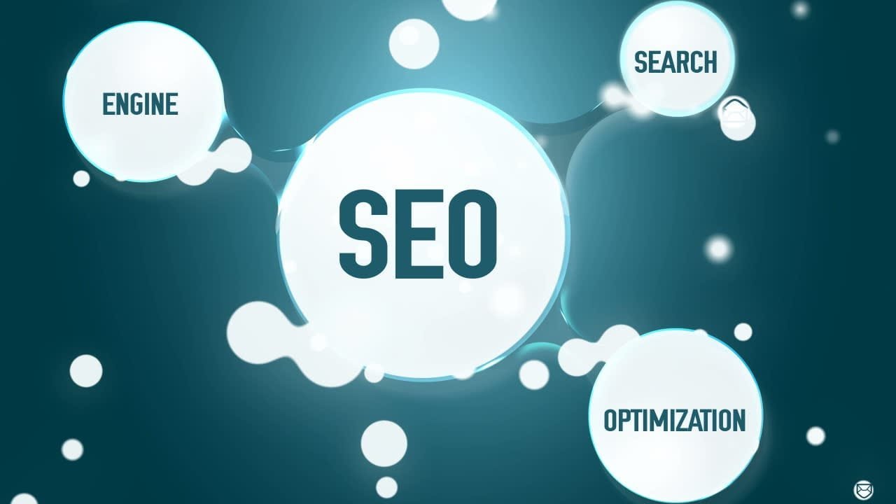 tampa seo company