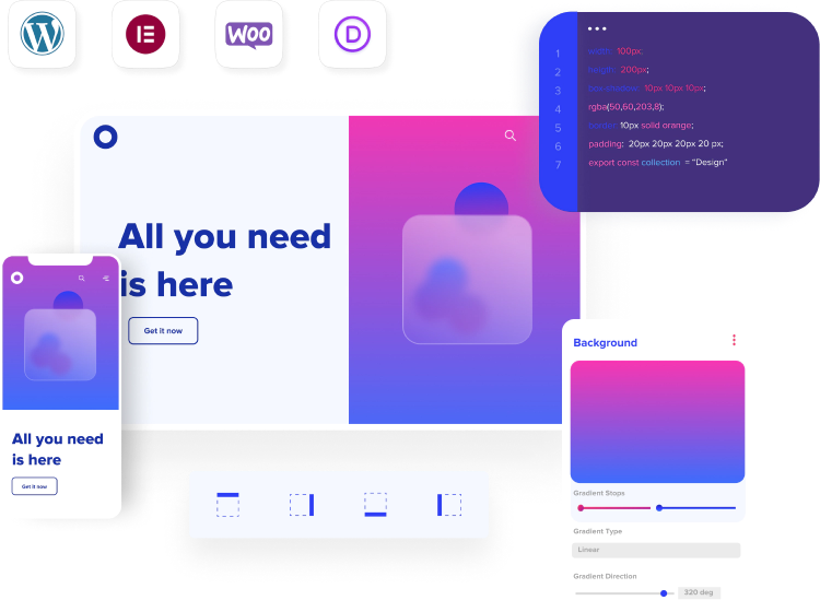Why Choose Netwexus for WordPress Development Services?