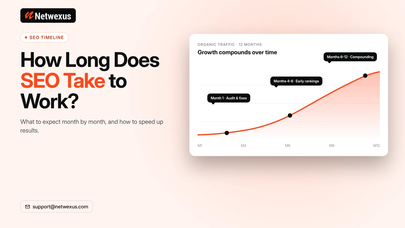 Organic traffic growth chart showing SEO milestones over twelve months